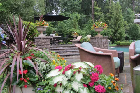 a close up of a flower garden
