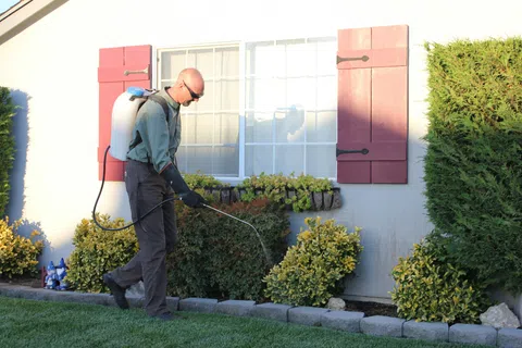 Man wearing protective gear spraying pesticide on garden plants in front of a house with red shutters.