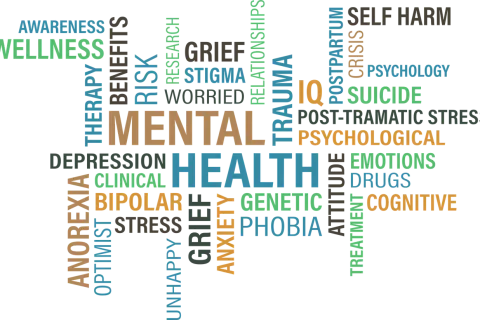 Guidance on Privacy Rule and Mental Health Information