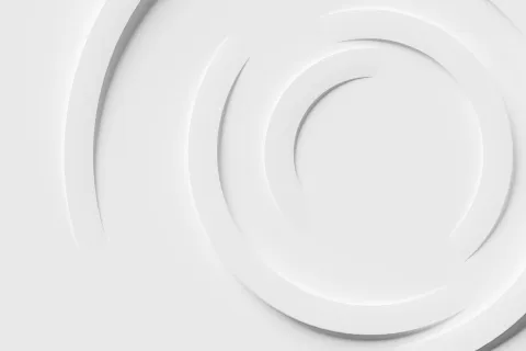 a white plate with a black circle