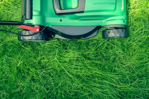 Green lawn mower cutting thick, lush grass in a sunny garden setting
