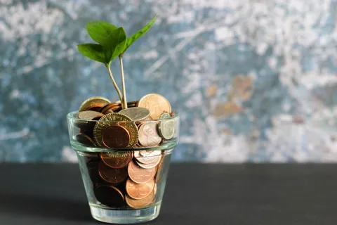 Small green plant growing from coins in a glass cup symbolizing financial growth and investment.
