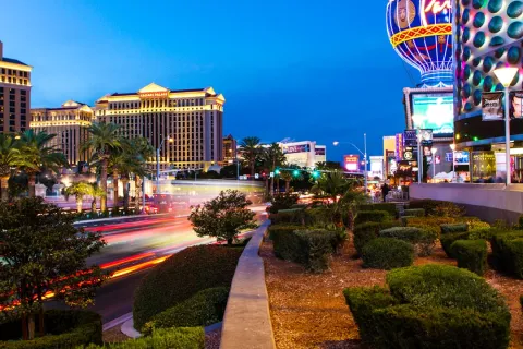 Nighttime Las Vegas Strip with Caesars Palace, vibrant lights, palm trees, and busy traffic light trails.
