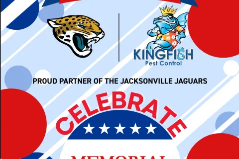 Header photo, kingfish tales, newsletter