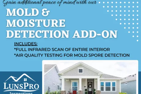 Mold & Moisture