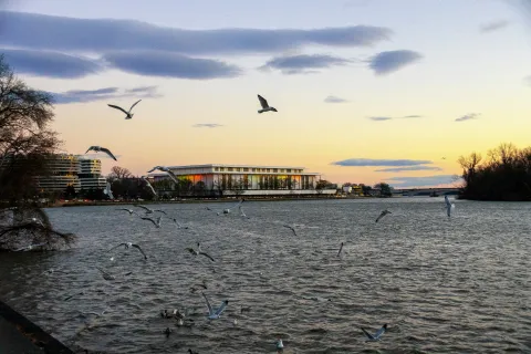 Kennedy Space Center with birds flying over water