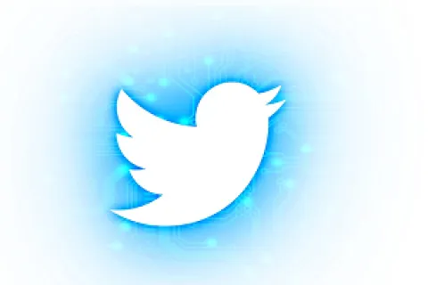 Secret Twitter Accounts Are Not What You Think 