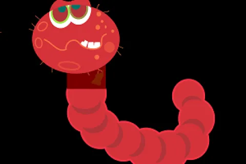 Raspberry Robin Worm In Hundreds Of Windows Networks 