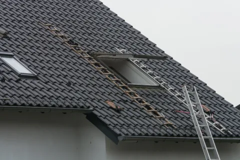 Black tiled sloped roof with open skylight windows, safety ladders, and an extension ladder against the house.