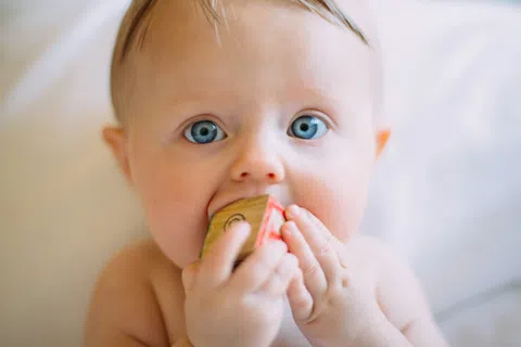 Close-up of a baby with blue eyes chewing on a wooden block while looking directly at the camera