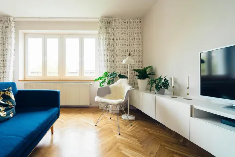 Bright and modern living room with blue couch, houseplants, and stylish decor.