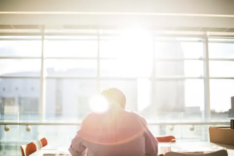 Person working at desk with back to camera, sunlight streaming through large windows in modern office.