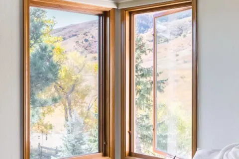 Solar Control Replacement Windows