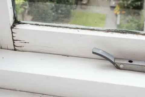 My Windows Have Developed Wood Rot⎯ Now What?