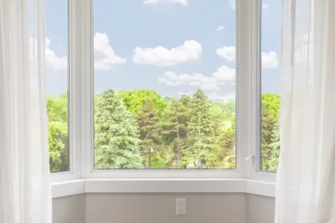 Pros and Cons of Bay Windows