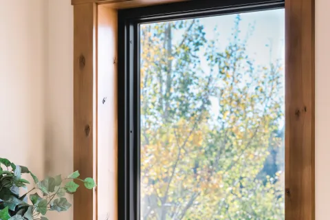 Wood-framed window with black trim looking out to blurred green and yellow foliage on a sunny day.