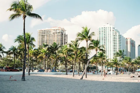 Sunny beach with palm trees, sandy shore, people walking, and high-rise buildings under blue sky.