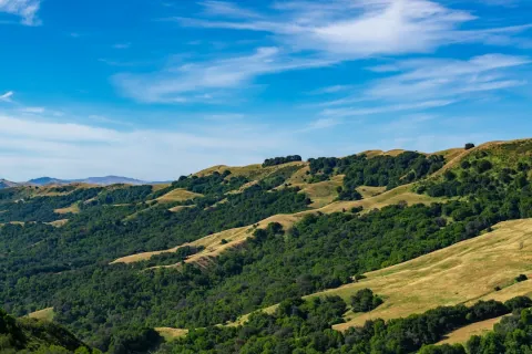 Rolling green hills under a blue sky with wispy white clouds on a sunny day