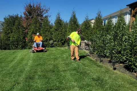 Two landscapers working on lawn care with mower and trimmer in a suburban yard on a sunny day