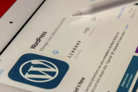 WordPress app page showing a 4.6-star rating, logo, and description for managing website analytics.