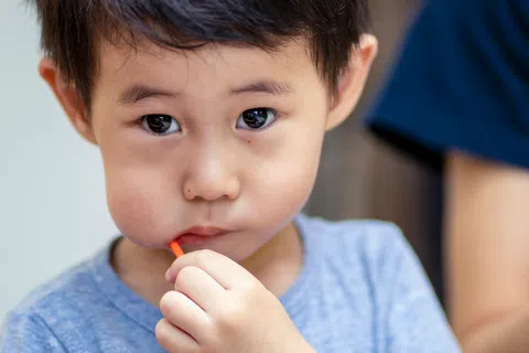 Close-up of a young boy in a blue shirt holding an orange object near his mouth, looking thoughtful.