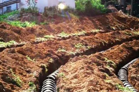 Septic System 101: Understanding the Basics for Homeowners