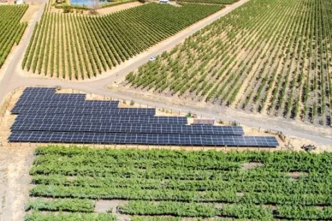 Rutherford Winery in Napa Valley Boosts Sustainable Viticulture with SolarCraft Solar Panel Installation