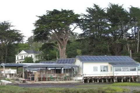 Hog Island Oyster Co. Now Powers 80% of Operations with Solar Power