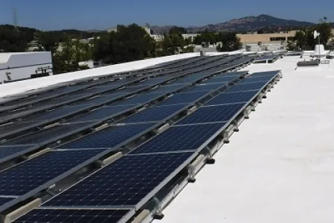 a group of solar panels