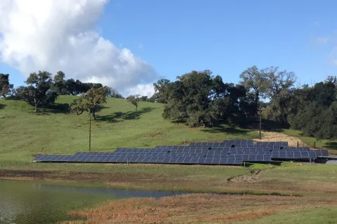 a grassy field with trees and a body of water