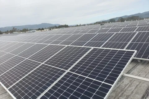 a large group of solar panels