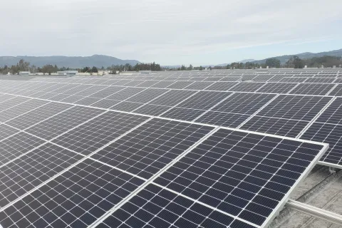 a large group of solar panels