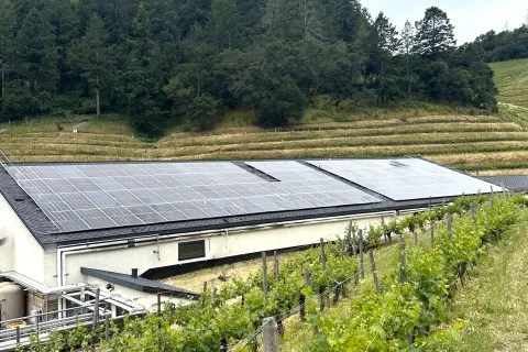 a greenhouse in a field