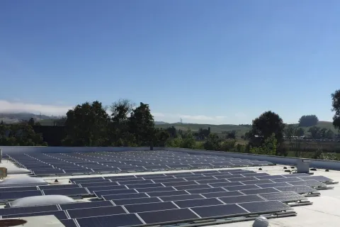 solar panels on a roof