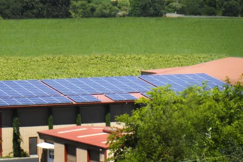 a group of solar panels