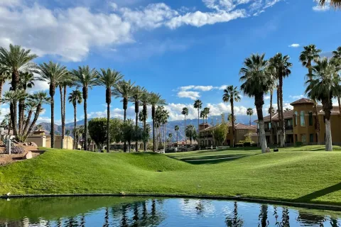 Palm trees, green hills, and residential buildings reflected in a pond under a blue sky with clouds.