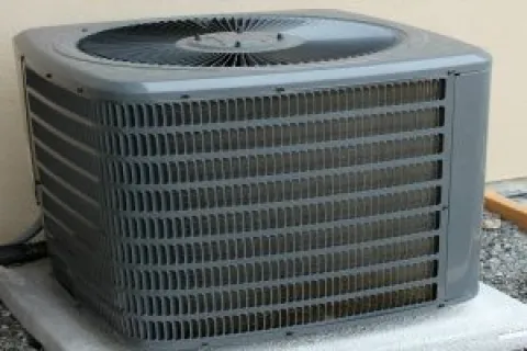 Is Your Vegetation Near Your AC Unit?