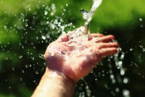 Easy Ways to Save Water at Home