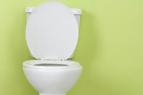 Basic Toilet Terminology