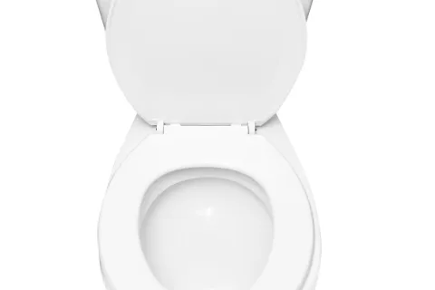 Why Replacing Your Toilet Can Save You Money