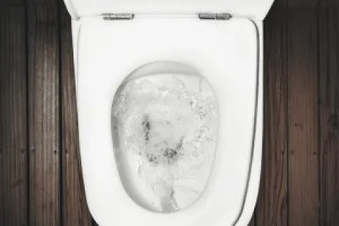 Is Your Toilet In Need of New Supply Lines?