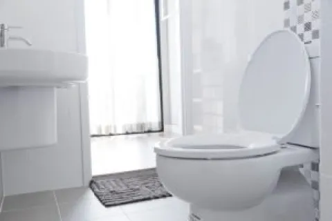5 Low-Flow Toilet Benefits