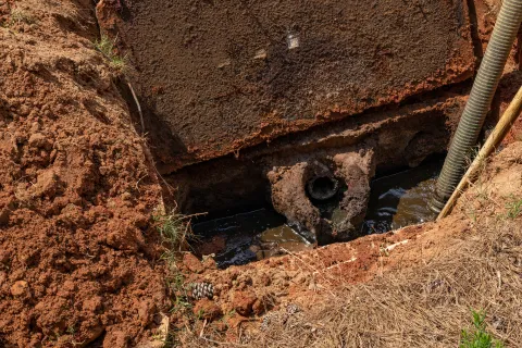 Sewage Backup