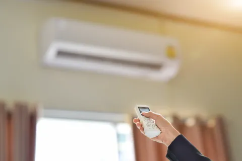a person holds a cell phone