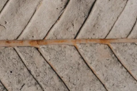 a close up of a wooden floor