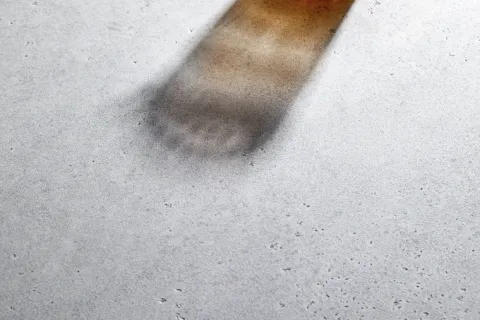 a close up of a foot