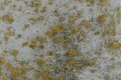 a close up of a white surface
