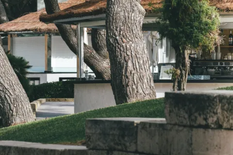 a tree in front of a house