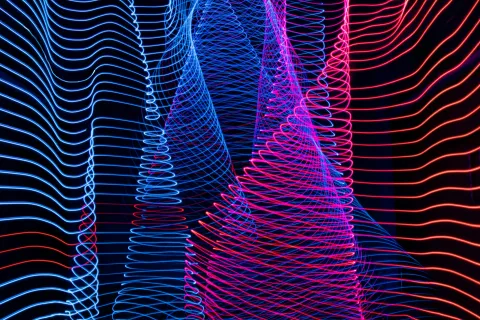 a close-up of a colorful feather