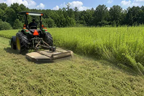 Green tractor mowing tall grass in a field with a forest and blue sky in the background on a sunny day